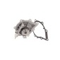 Skf VKPC83646