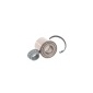 Skf VKBA3521