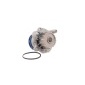 Skf VKPC81623