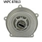 VKPC87813 Насос