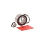 Skf VKBA3648