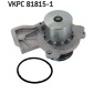 SKF VKPC818151