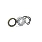 Skf VKBA3309