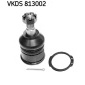 SKF VKDS813002