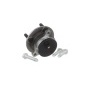 SKF VKBA7799