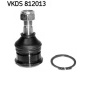 VKDS812013 Articulatie