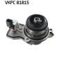 SKF VKPC81815