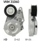 VKM31060 