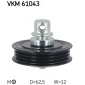 SKF VKM61043