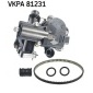 SKF VKPA81231
