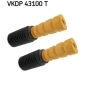 Skf VKDP43100T