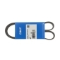 SKF VKMV6PK1020R