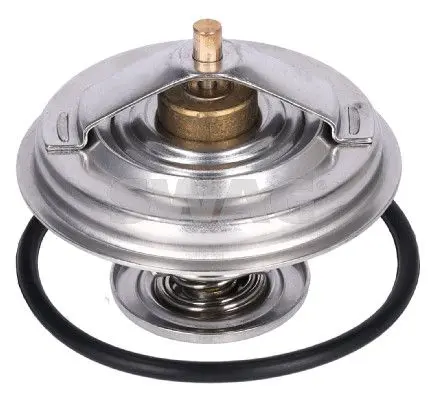  termostat,lichid racire(Sistem