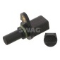 SWAG 30928690