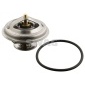 20912189 termostat,lichid racire(Sistem