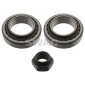 50905411 Set rulment roata(Suspensie