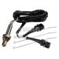 33103211 Sonda Lambda(Pregatire