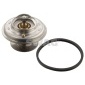 10909675 termostat,lichid racire(Sistem
