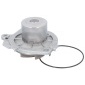 70150035 pompa apa(Sistem racire)