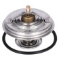 20912188 termostat,lichid racire(Sistem
