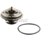 30918294 termostat,lichid racire(Sistem