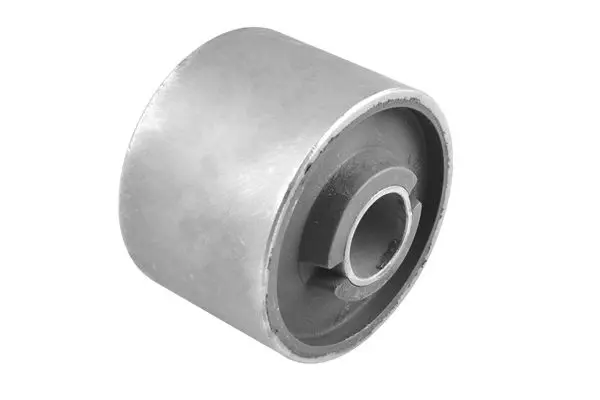TEDGUM 00460975 Подвеска, рычаг независимой