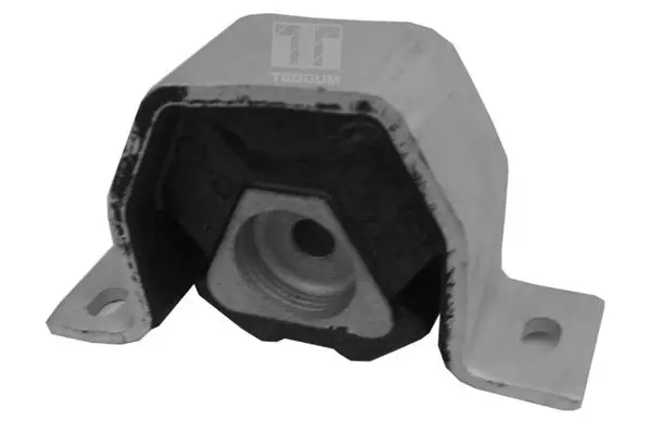 TEDGUM 00212975 Подвеска, двигатель