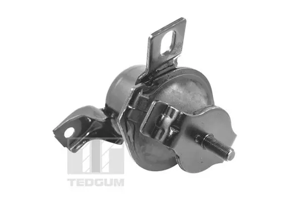  TEDGUM Подвеска, двигатель