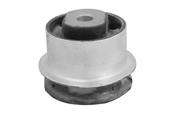 TEDGUM 00504699 Подвеска, рычаг независимой