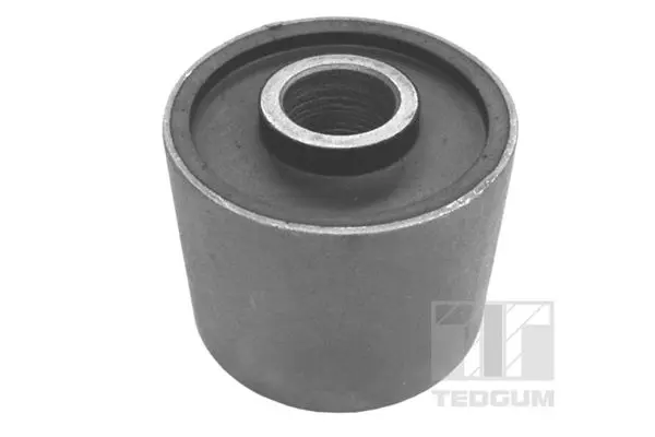 TEDGUM 00466720 Подвеска, рычаг независимой