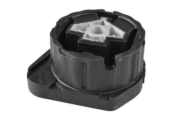 TedGum TED80165 Подвеска, двигатель