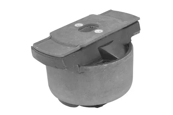 TEDGUM 00584273 Сайлентблок лев задней оси