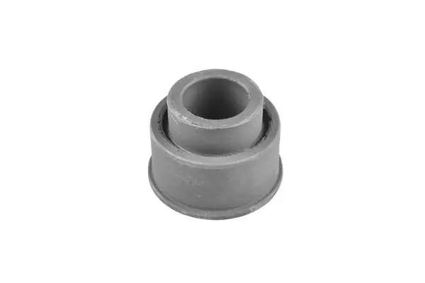 TEDGUM 00283333 Подвеска, рычаг независимой