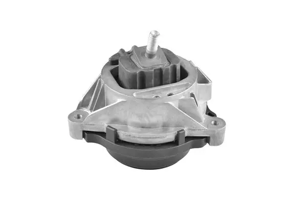 TEDGUM TED64419 Подвеска, двигатель