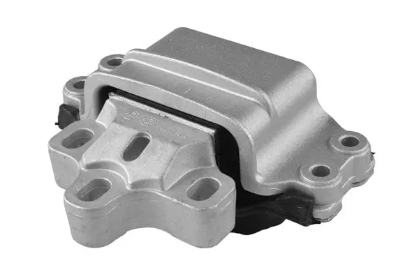 TEDGUM TED41441 Подвеска, двигатель