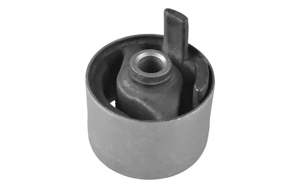 TEDGUM 00220525 Подвеска, двигатель