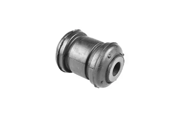 TEDGUM 00162487 Подвеска, рычаг независимой