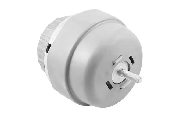 TEDGUM TED49172 Подвеска, двигатель
