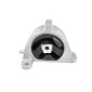 TEDGUM TED37618