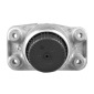 TEDGUM TED97635