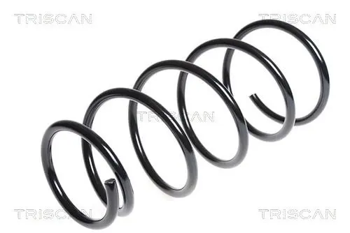 TRISCAN 87506835 Пружина