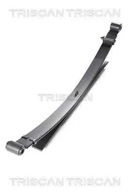 TRISCAN 876514011 Многолистовая рессора