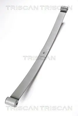 TRISCAN 876528002 Многолистовая рессора