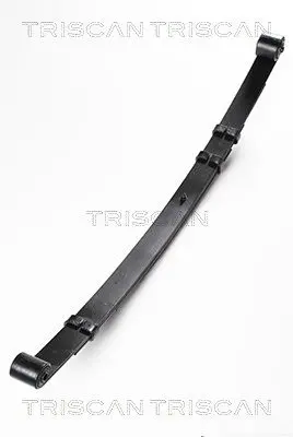TRISCAN 876580006 Многолистовая рессора