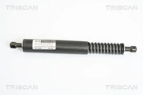 8710 29264 Газовый упор TRISCAN