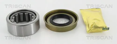 TRISCAN 853016268 Комплект подшипника