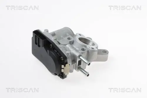 TRISCAN 881314100 Клапан возврата ОГ