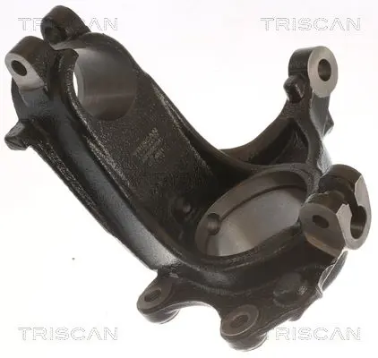 TRISCAN 850028704 Поворотный кулак, подвеска