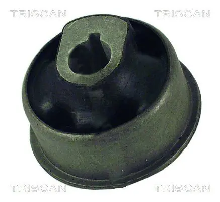 TRISCAN 850065828 Подвеска
