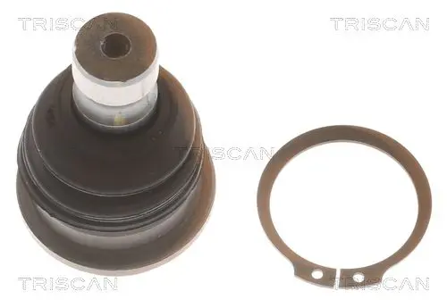 TRISCAN 850043521 Шарнир